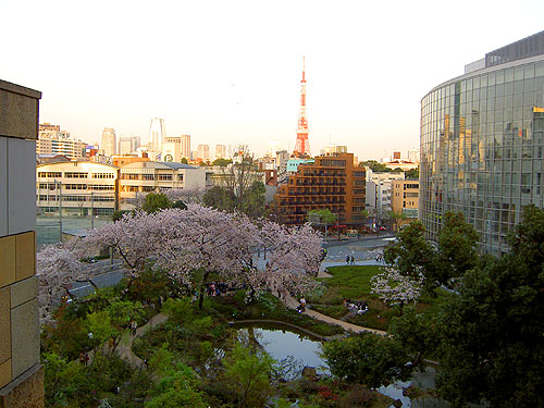 20050409ropponngi2.jpg