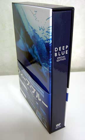 20050628db2.jpg