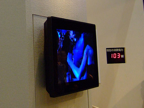 20051005ceatec09.jpg