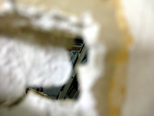 20051012ana2.jpg