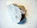 20051012anath.jpg