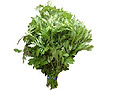 20060401yakusoth.jpg