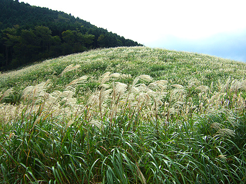 DSCF5397.jpg