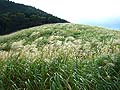 DSCF5397th.jpg
