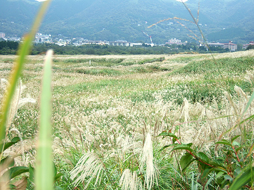 DSCF5404.jpg