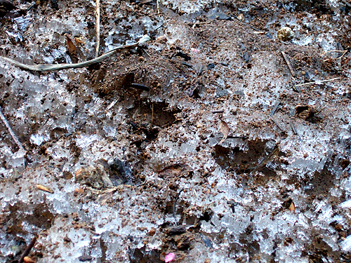 DSCF5724.jpg