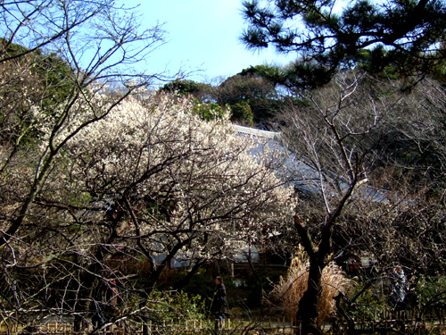 DSCF5738.jpg