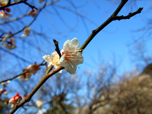 DSCF5744.jpg