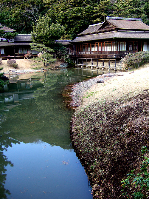 DSCF5781.jpg