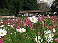 DSCF6857.jpg