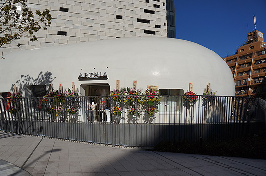ARTNIA_005.jpg